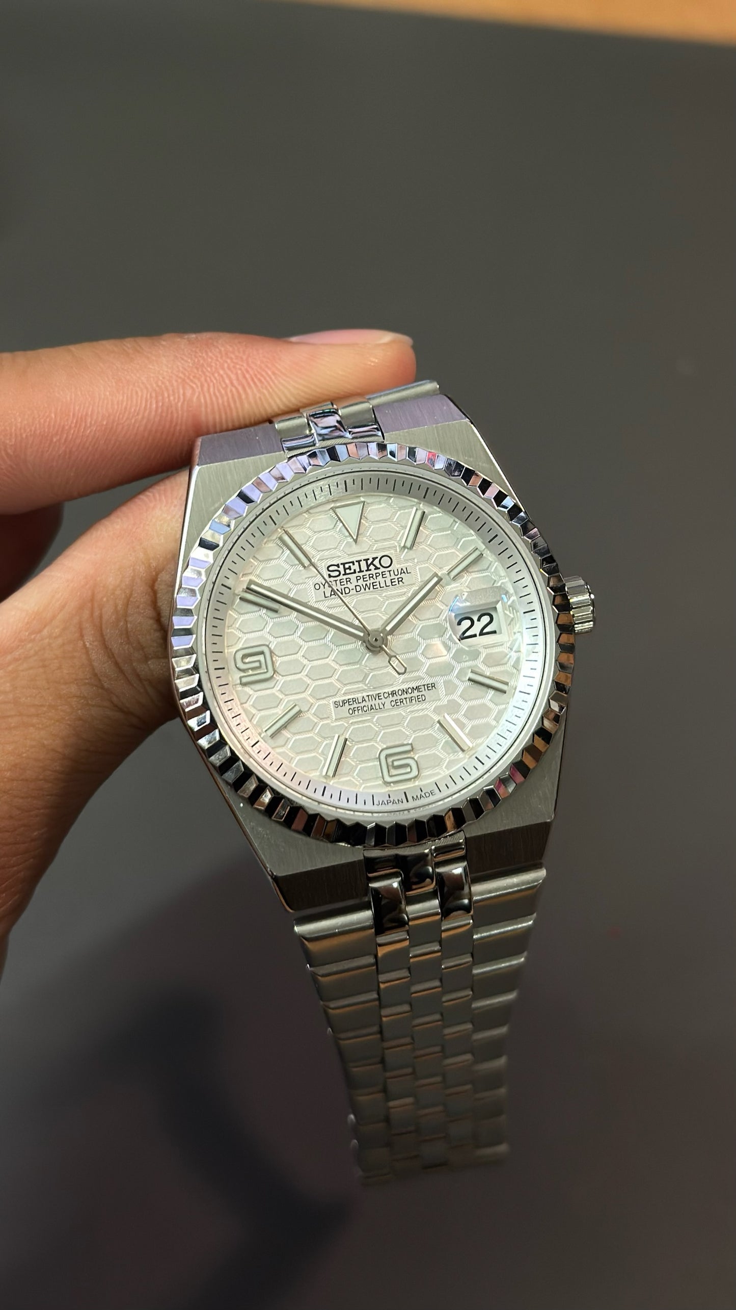 Land-Dweller: Stainless Steel White Dial
